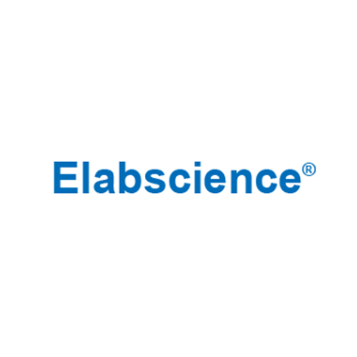 [Elabscience] Lung Cancer