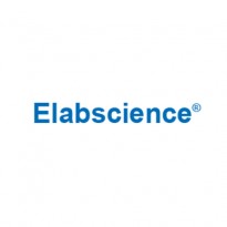 [Elabscience] Lung Cancer