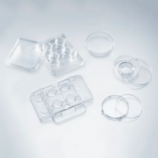 Falcon® in vitro Fertilization (IVF) Dishes and Plate