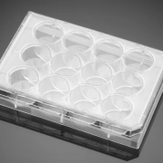 Falcon® Cell Culture Insert Companion Plates