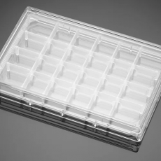 Falcon® 24-well Polystyrene Feeder Tray, with Lid, Sterile, 5/Pack, 5/Case