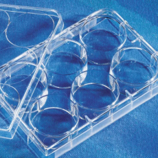 Costar® Multiple Well Cell Culture Plates