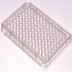 VWR Multiwell cell culture plates, VWR