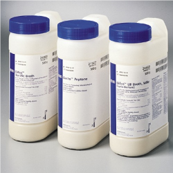 [232100] BOTTLE SKIM MILK 500G