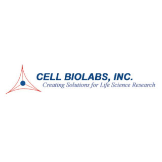 [ADV-154] Cdc42 Recombinant Adenoviruses