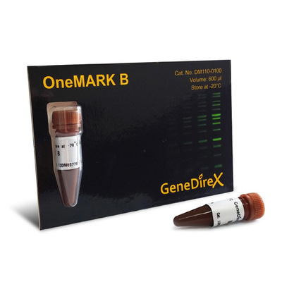 [DM110-0100] BH OneMARK B RTU