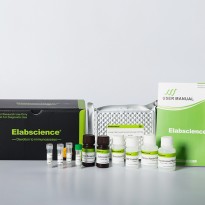 [E-CL-H1273] Human SHBG (Sex Hormone Binding Globulin) CLIA Kit