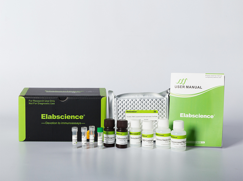 [E-CL-R0255] Rat FSH (Follicle Stimulating Hormone) CLIA Kit