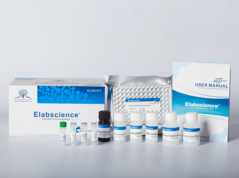 [E-EL-0122] fT4(Free Thyroxine) ELISA Kit