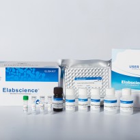 [E-EL-H0418] Human BAG3(Bcl2 Associated Athanogene 3) ELISA Kit