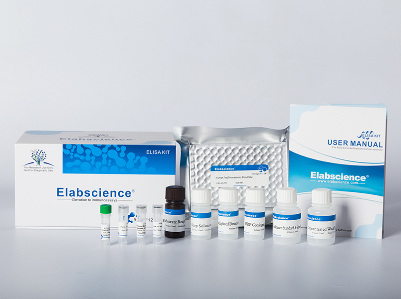 [E-EL-M1116] Mouse ACP5(Tartrate Resistant Acid Phosphatase 5) ELISA Kit