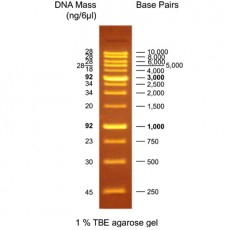 [EFM-D15-500] EF 1K Fluore DNA Ladder RTU