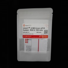 [EFQ-RM111/EFQ-RM115] SMARTⓇSYBR Green qPCR System- ROX II