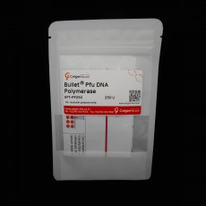 [EFT-PF250/EFT-PF500] BulletⓇ Pfu DNA Polymerase