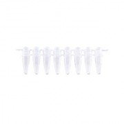 [MB-P08D] 0.2ml PCR 8-Strip Tube & Separate Domed Cap