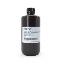 [PS001-B500ML] GeneDireX jetBLUE Protein Staining Solution